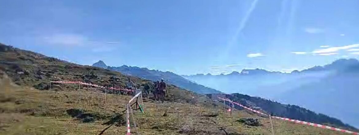Delle Athlé sur tous les terrains : du Festiv’Assoc aux sommets !