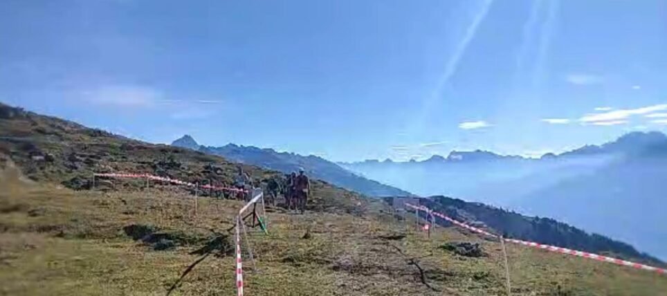Delle Athlé sur tous les terrains : du Festiv’Assoc aux sommets !