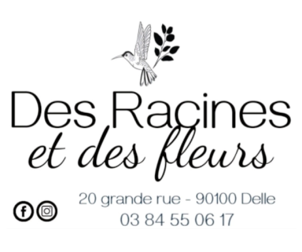 desracinesetdesfleurs